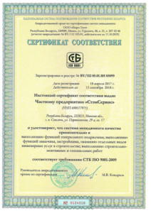 ISO 9001 StemService 1